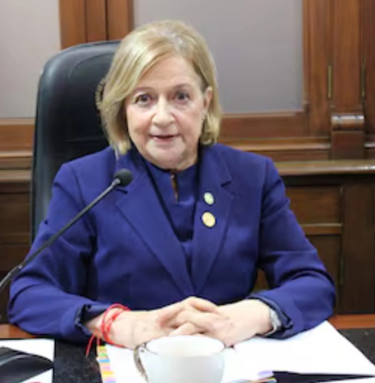 Pucheta es electa por el JEM. 