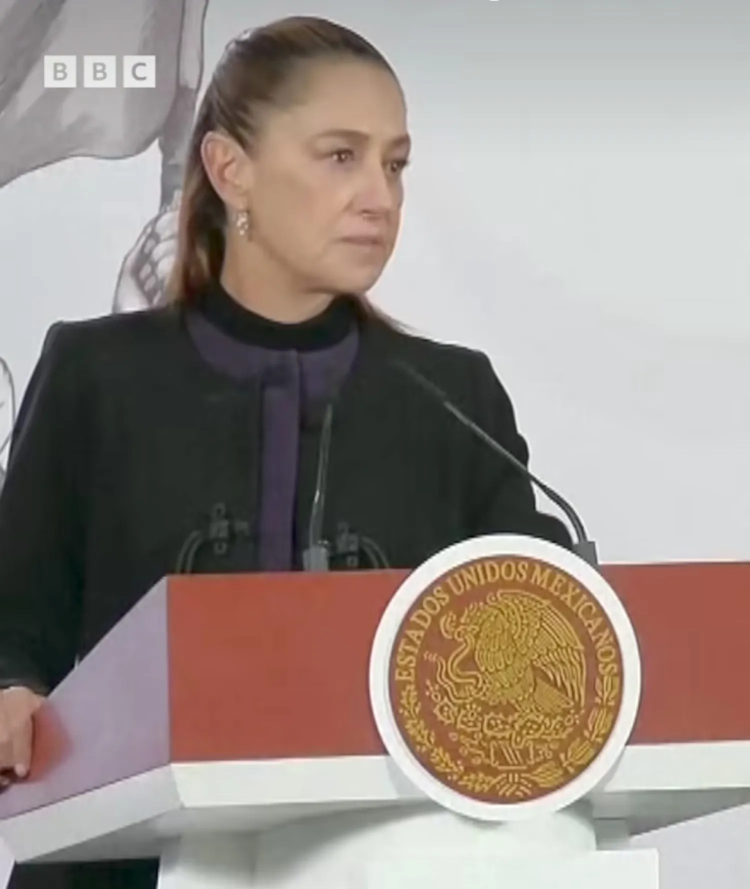 Presidenta de México priorizará la paz para los ciudadanoss 